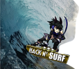 HacknSURF.png