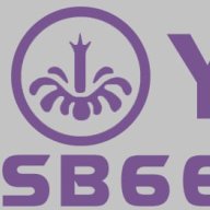 ysb666n1