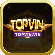 topvinvin