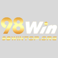 98wintoporg