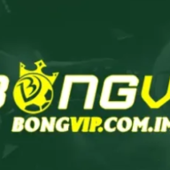 bongvipminfo