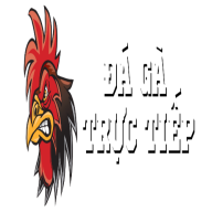 dagatructiep88tv