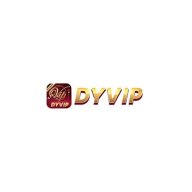 dyvipnetbr