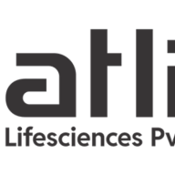 atlinalifeseo@gmail.