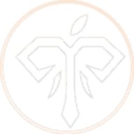 tanvoishopcom