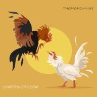 ThomohomnayComedyhom