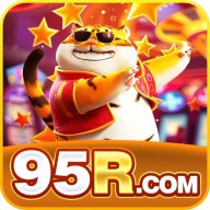 95rnetbr1