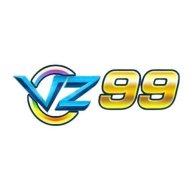 vz99diy