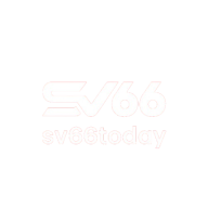 sv66todaycncom