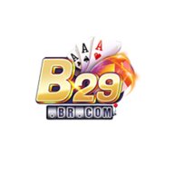 b29brcom