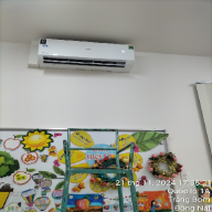 duytung