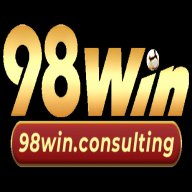 98Winconsulting