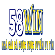 58winvipskin