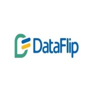 dataflipun