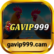 gavip999cam