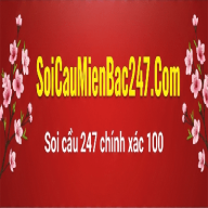 soicaumienbacji