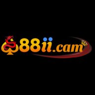 88iicam