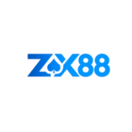zx88vnnet1