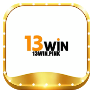 13winpink