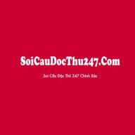 soicaudocthu247