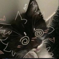 †『ᴊᴅs』 Røssy_