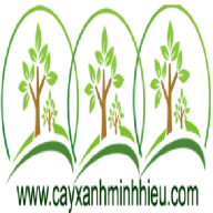cayxanhminhhieufs