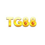 Tg88nycom