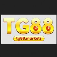 tg88markets