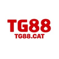 tg88cat