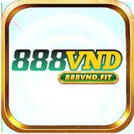 888vndfit