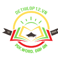 dethilop12vn