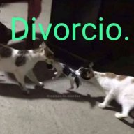 JessiGaKu01