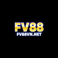 Fv88vnnet