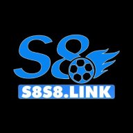 ss8link