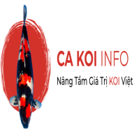 cakoiinfo