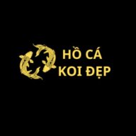 hocakoidep