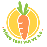 nongtraivuive