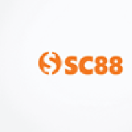 c88seocom11
