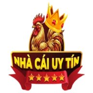 nhacaiuytinusvn