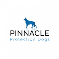 Pinnacle_Protection_