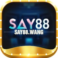 say88wang