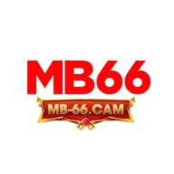 mb66cam2