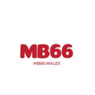 mb66wales