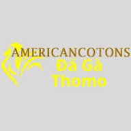 dagaamerican