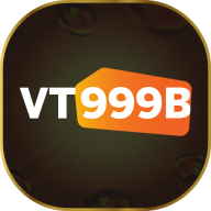 vt999b