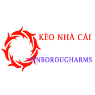 keonhacaifin