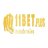 11betfeedback