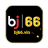 bj66vin