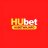hubetwninfo