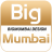 bigmumbaidesign